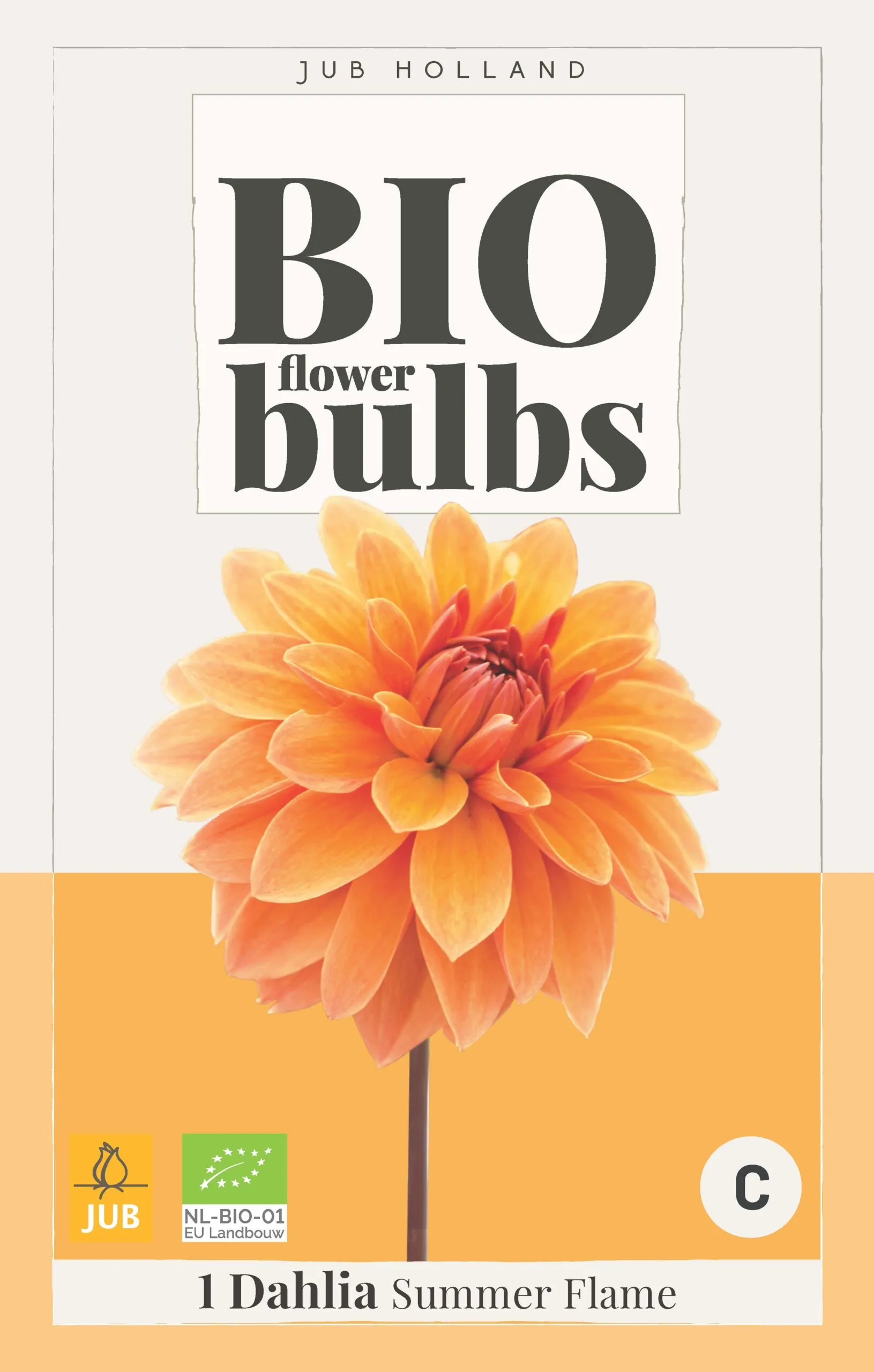 Bio Dahlia Summer Flame 1st.